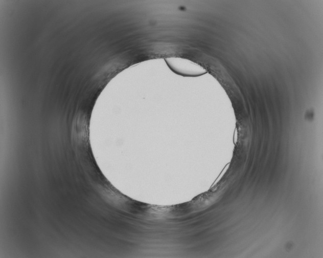 X0000116650143201001251205