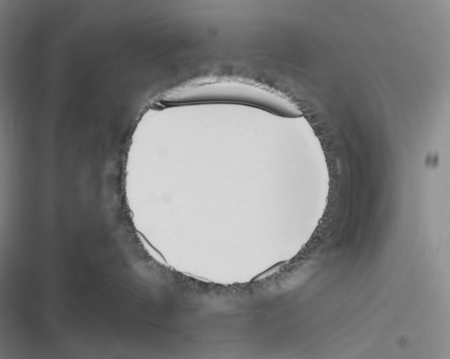 X0000116650144201001251204