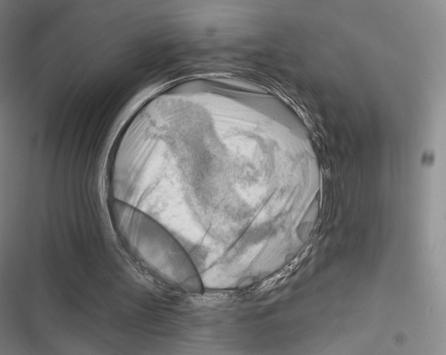 X0000116650147201001251204