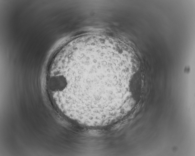 X0000116650149201001251204