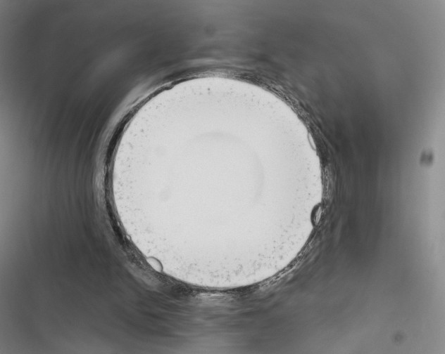 X0000116650150201001251204
