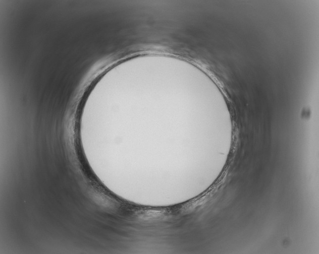 X0000116650151201001251204