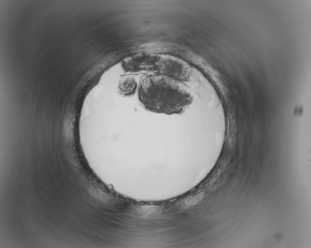 X0000116650153201001251204