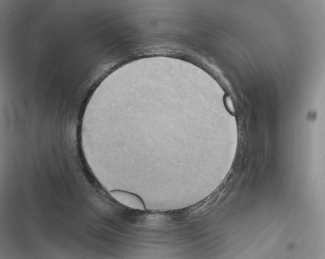 X0000116650154201001251204