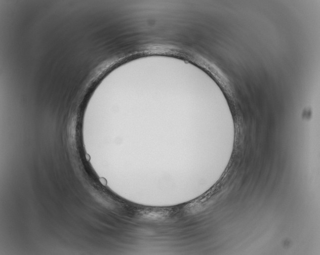 X0000116650155201001251204