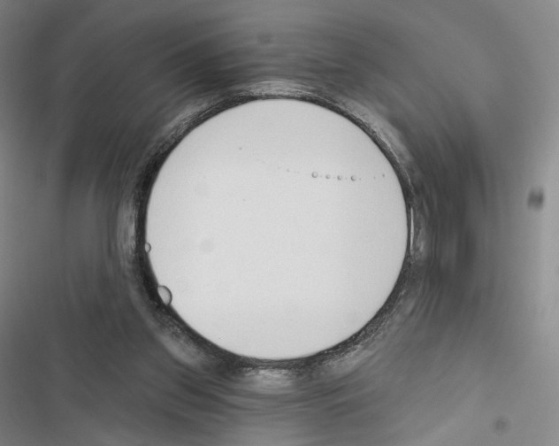 X0000116650157201001251204