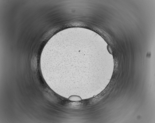X0000116650158201001251204