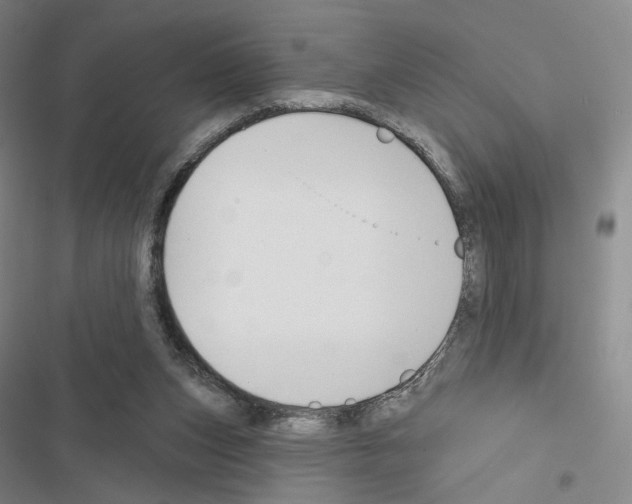 X0000116650159201001251204