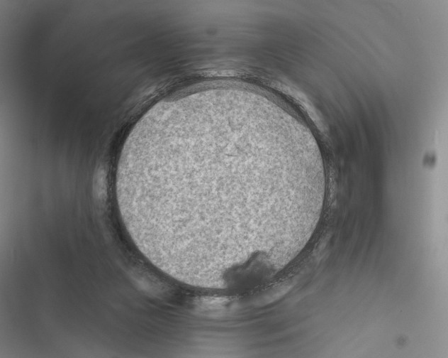 X0000116650161201001251204