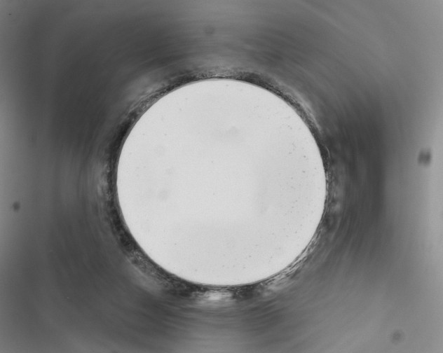 X0000116650162201001251204
