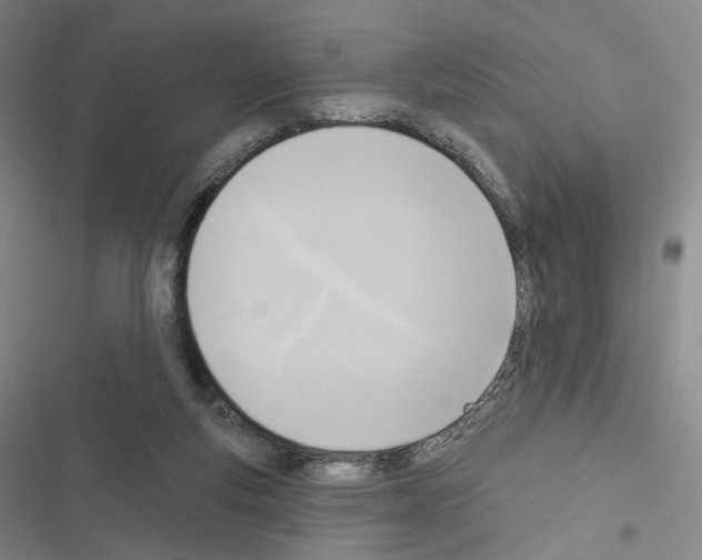X0000116650163201001251204