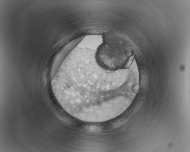 X0000116650165201001251204