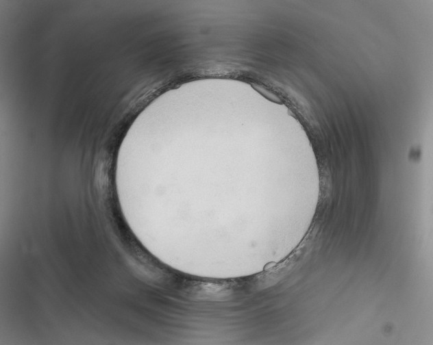 X0000116650166201001251204