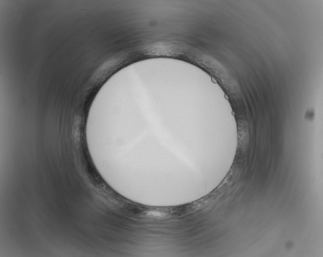 X0000116650167201001251204