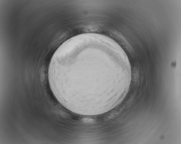 X0000116650169201001251204