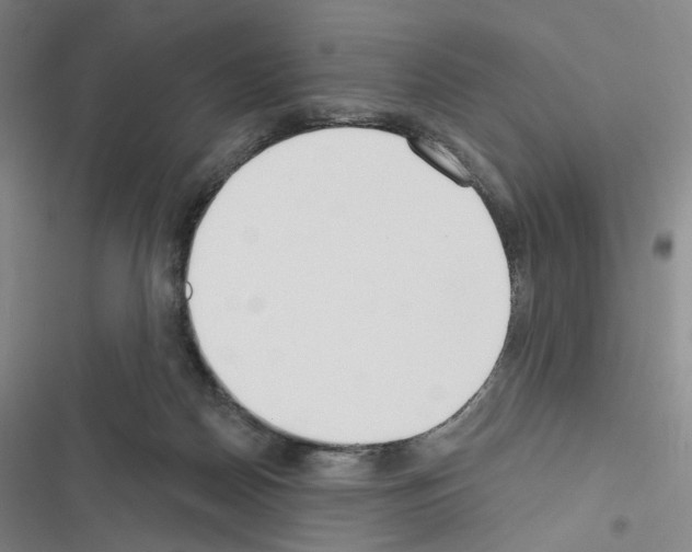 X0000116650170201001251204