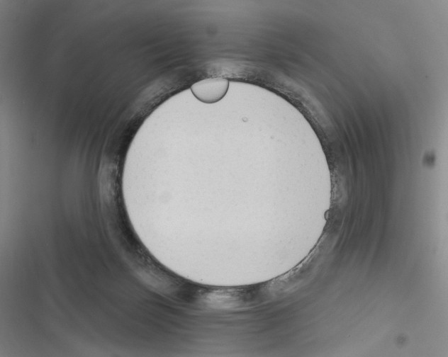 X0000116650171201001251204