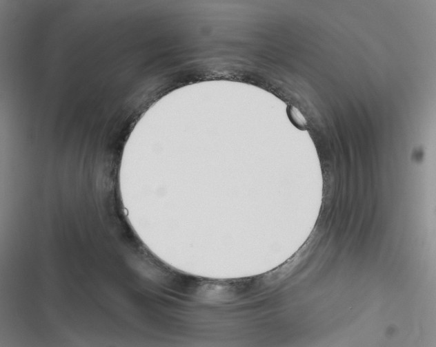 X0000116650174201001251204
