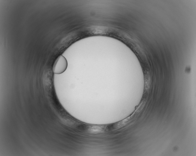 X0000116650175201001251204
