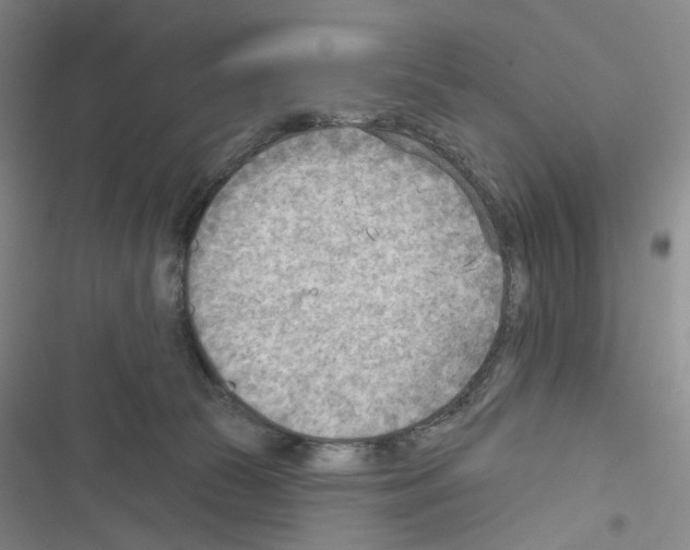 X0000116650177201001251204