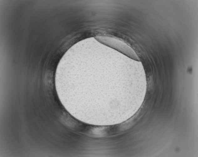 X0000116650178201001251204