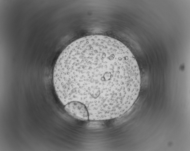X0000116650179201001251204