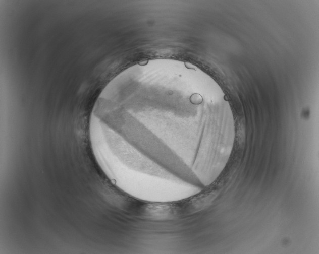 X0000116650181201001251204