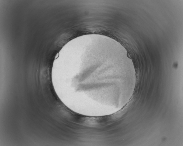 X0000116650182201001251204