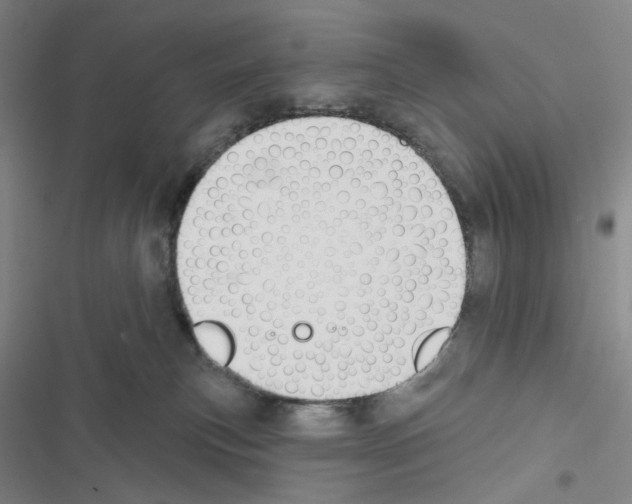 X0000116650183201001251204