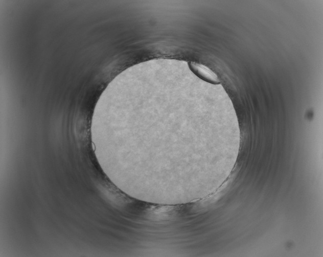 X0000116650186201001251204