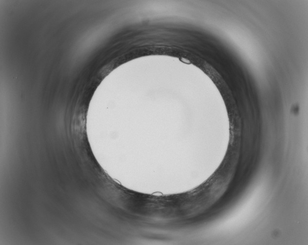 X0000116650190201001251204