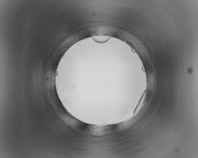 X0000116650191201001251204