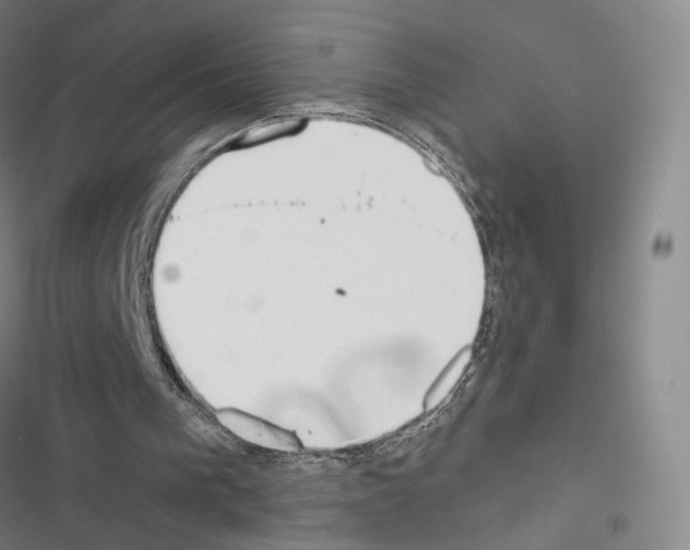 X0000116650193201001251204