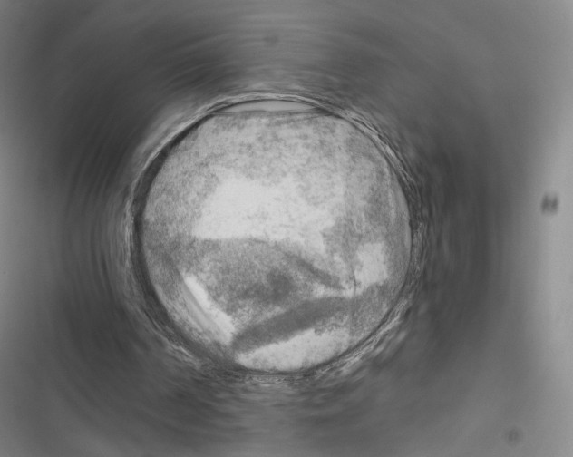 X0000116650194201001251204