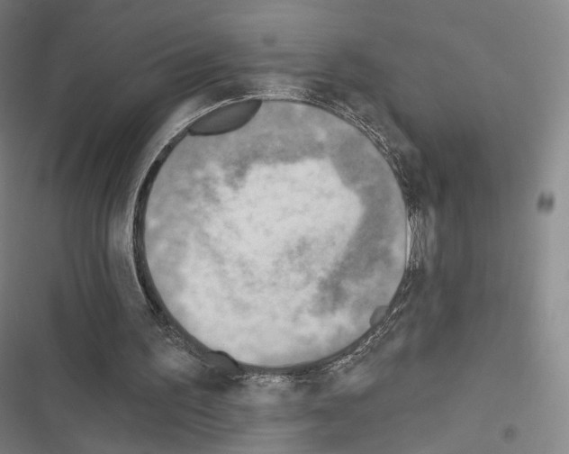 X0000116650195201001251204