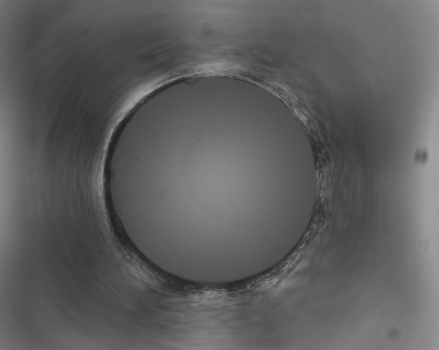 X0000116650196201001251204
