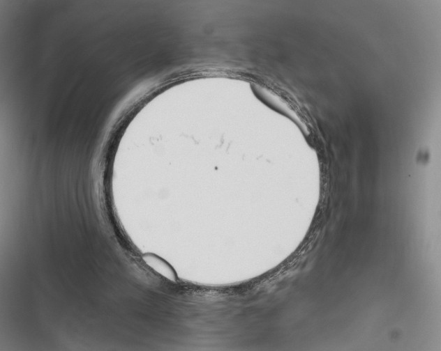 X0000116650197201001251204