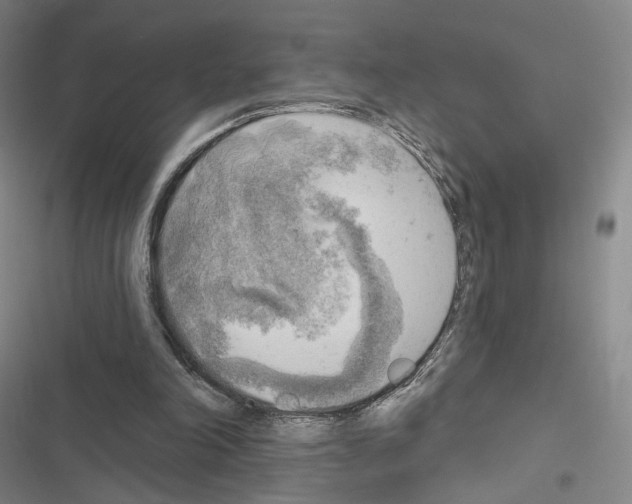 X0000116650198201001251204