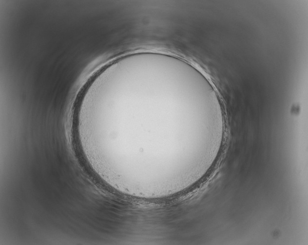 X0000116650199201001251204