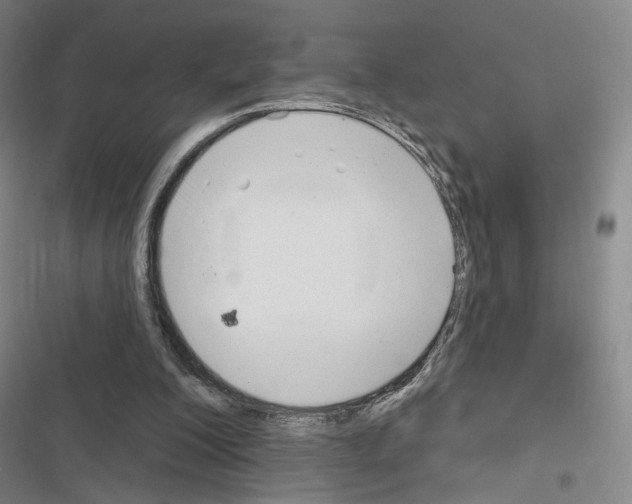 X0000116650200201001251204
