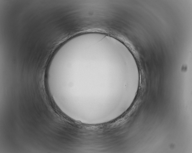 X0000116650201201001251204