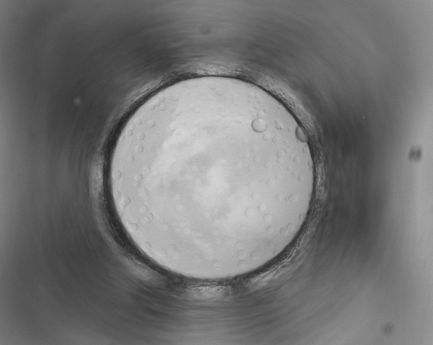 X0000116650202201001251204
