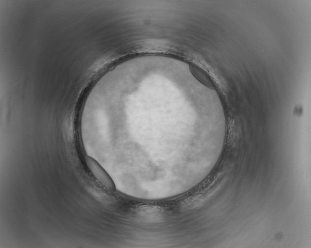 X0000116650203201001251204