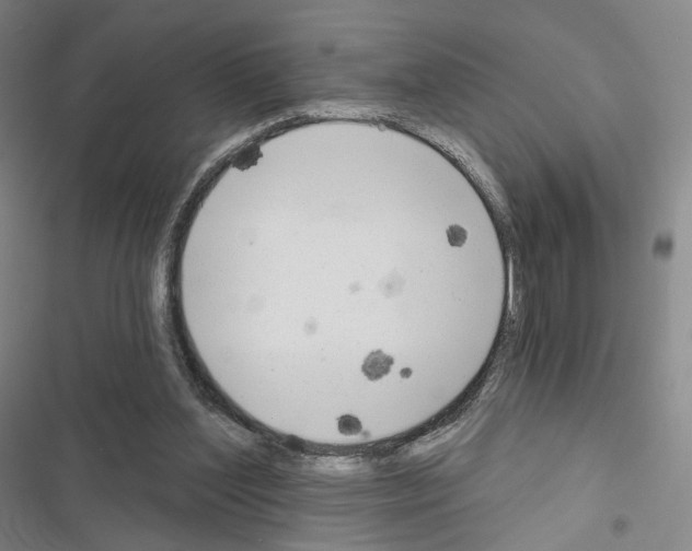 X0000116650204201001251204