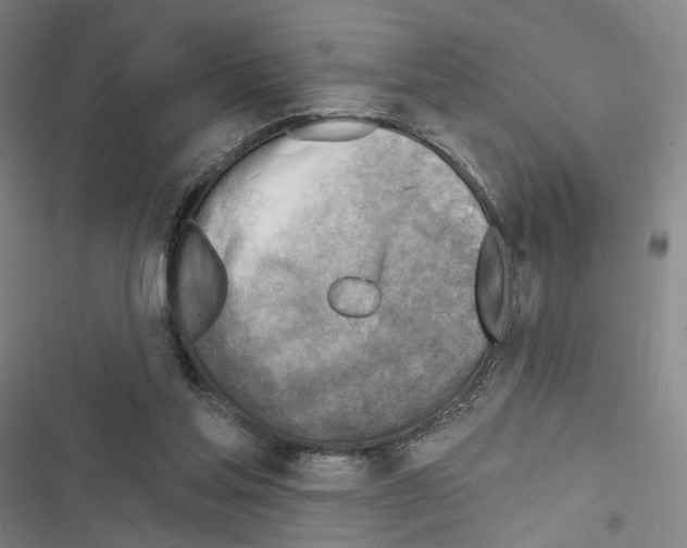 X0000116650205201001251204