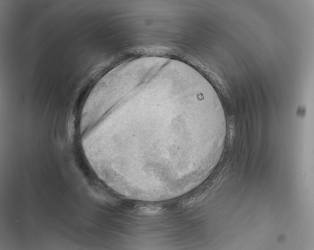 X0000116650206201001251204