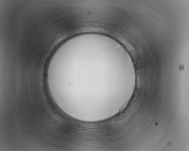 X0000116650207201001251204