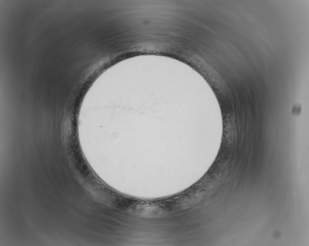 X0000116650208201001251204