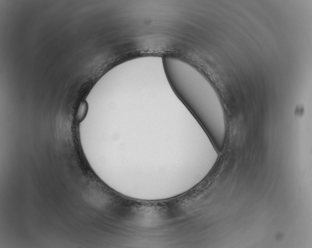 X0000116650209201001251204