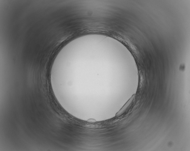 X0000116650211201001251204